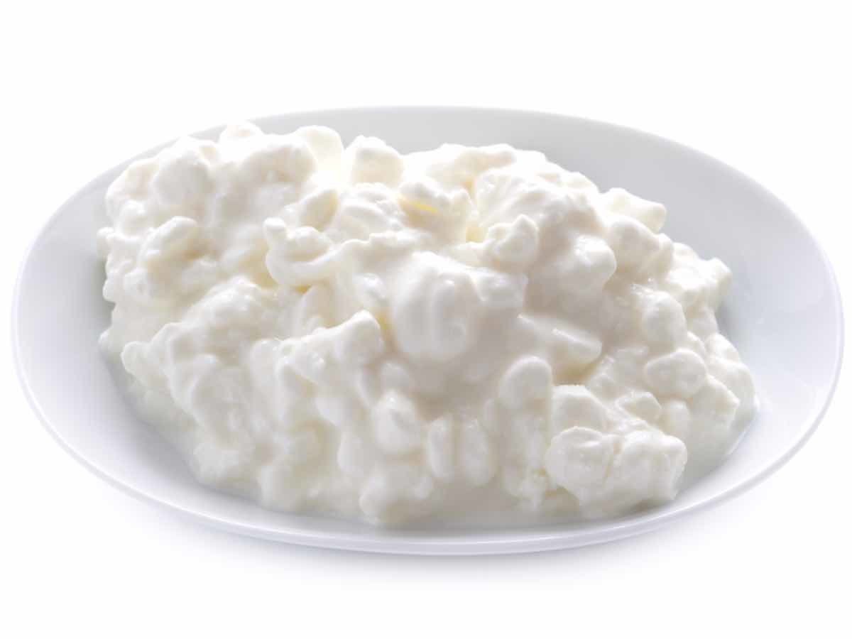 Can You Freeze Cottage Cheese Frisky Forks